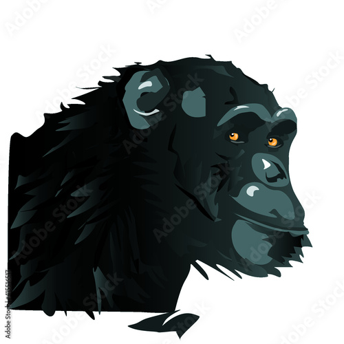 Vector illustration of a black chimpanzee's head on a white background.