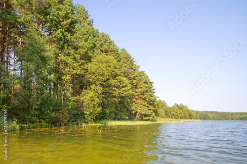 The nature of Seliger. Glubokoe Lake in the Tver region on a sunny summer day, Russia