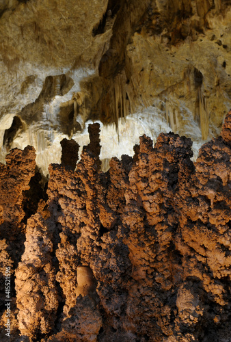 Canvas Print Popcorn formations in Fairyland, Carlsbad Caverns National Park, New Mexico, USA