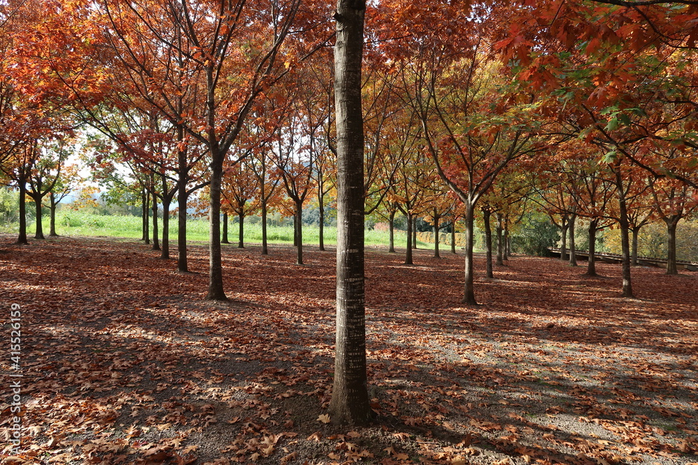 Naklejka premium Prueba