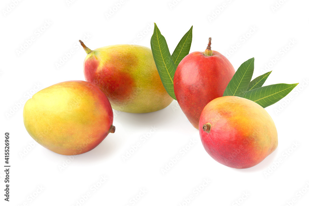 Four red - yellow mango with leaves isolated on white Four red - yellow mango with leaves isolated on white
