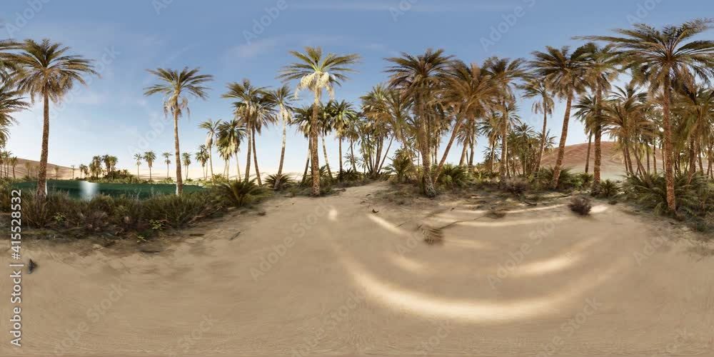 VR360 view of palm oasis in desert VR360 view of palm oasis in desert