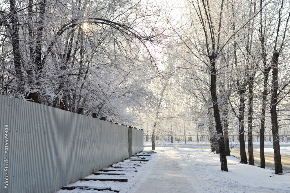 There is a city park in the winter