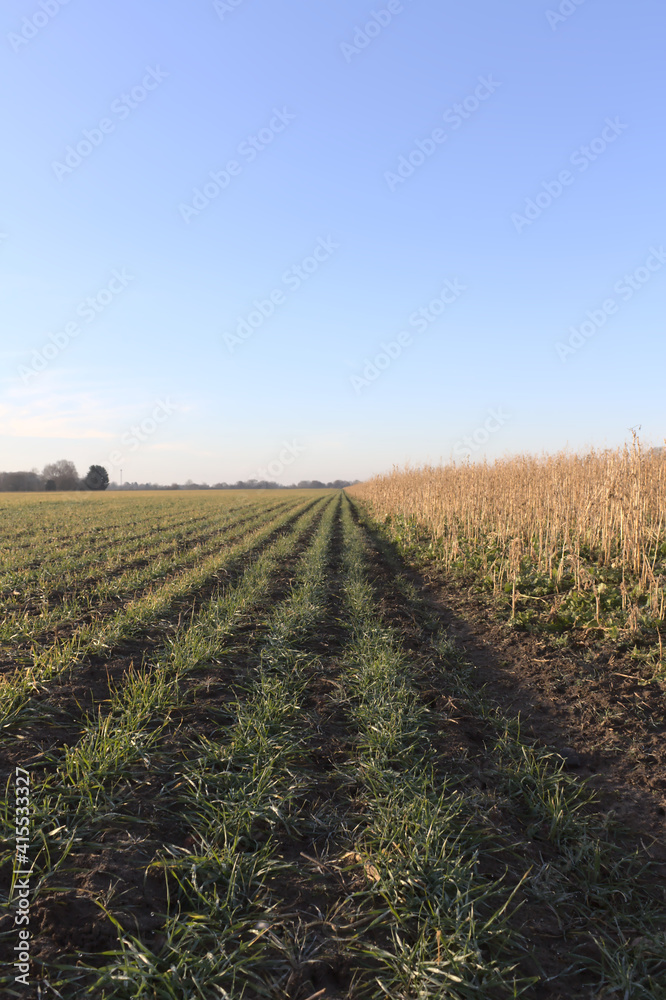 plowed field in the morning plowed field in the morning
