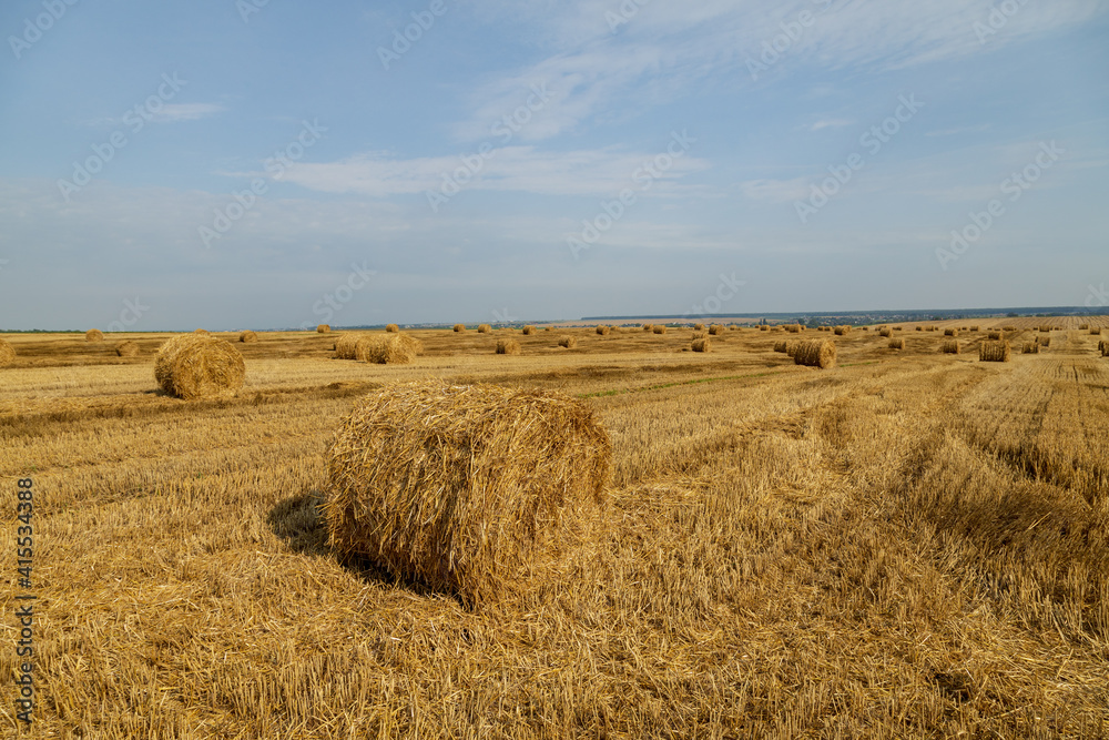 Endless field with bales of straw.