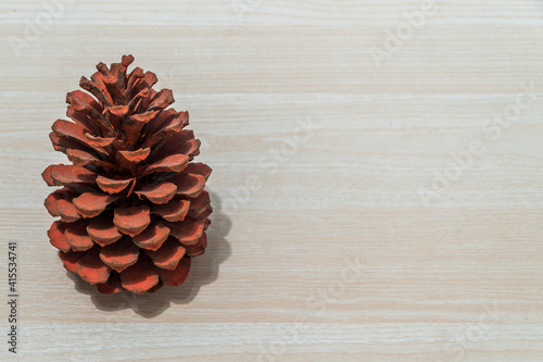 Bright flowers on a white wooden background. Free space for text. Copy space. a big red pinecone 
