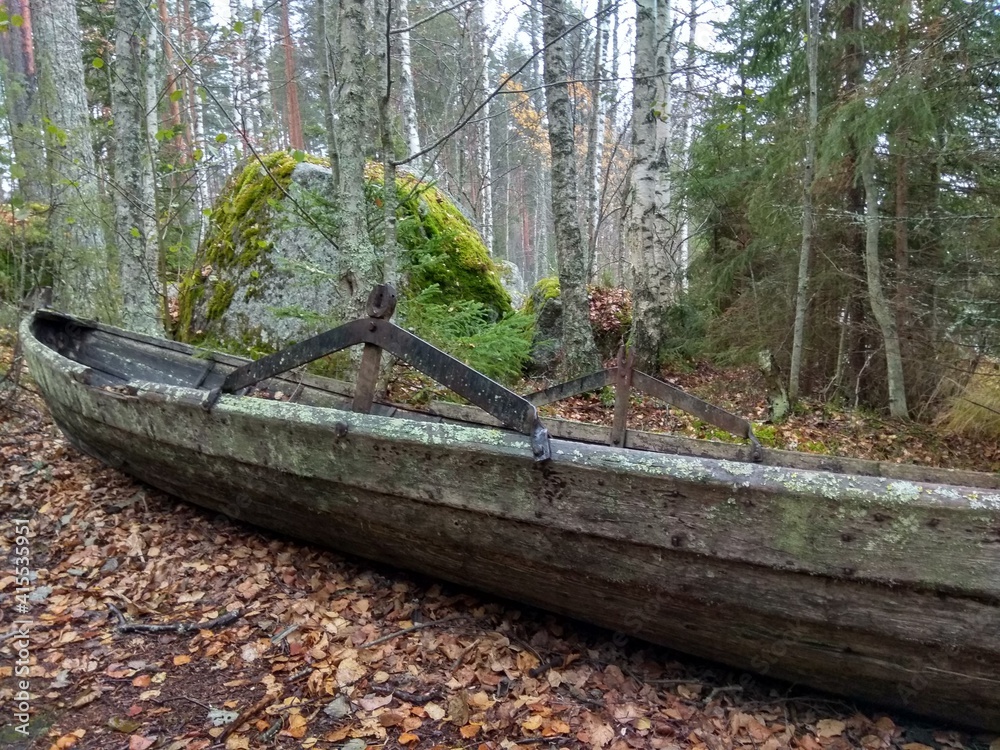 Fototapeta premium Deep forest in Europe with river and lake