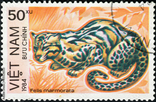 VIETNAM - CIRCA 1984: A stamp printed in Vietnam shows Felis marmorata or marbled cat