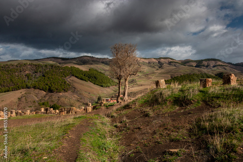 landscape photo in mountains with beautiful sky and trees in roman town Cuicul at village Djemila, Algeria