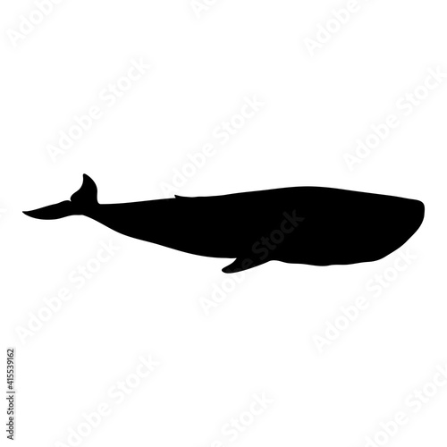 Vector Black Silhouette of Whale