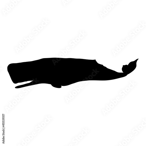 Vector Black Silhouette of Whale