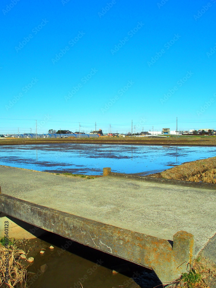 Obraz premium 石橋と水の入った春の田圃風景
