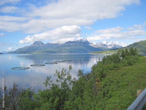 Road to Senja