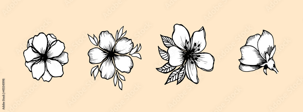 White flowers of apple, cherry, peach isolated on pink background. Hand-drawn buds, petals. Blooming botanical elements for logo design