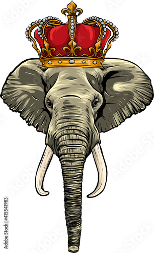 head elephant king animal artwork vector illustration