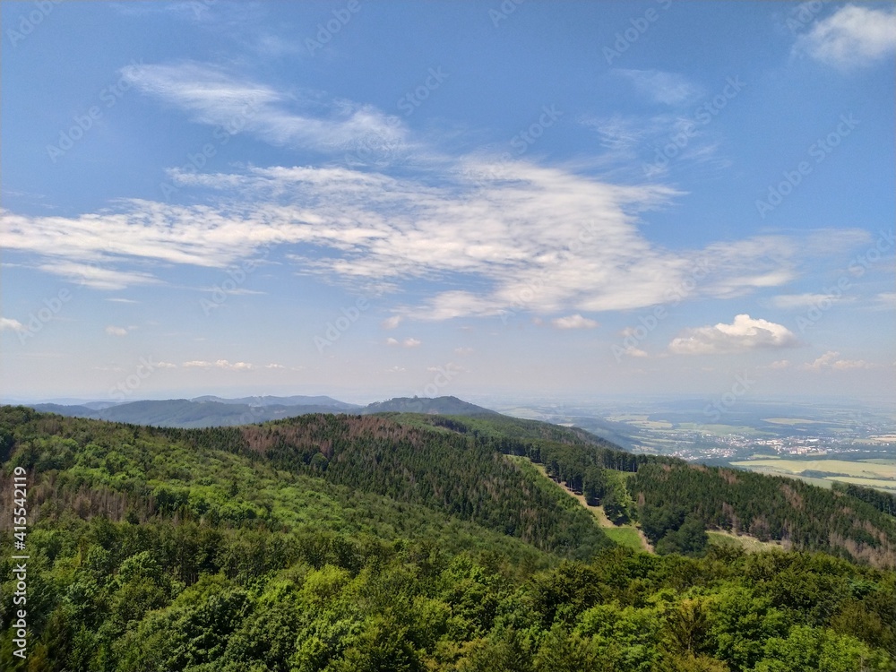 Deep forest in Europe with river and lake Deep forest in Europe with river and lake