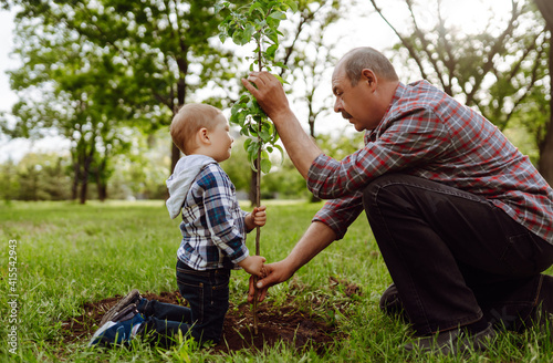 Planting a family tree. Little boy helping his grandfather to plant the tree while working together in the garden. Fun little gardener. Spring concept, nature and care. © maxbelchenko