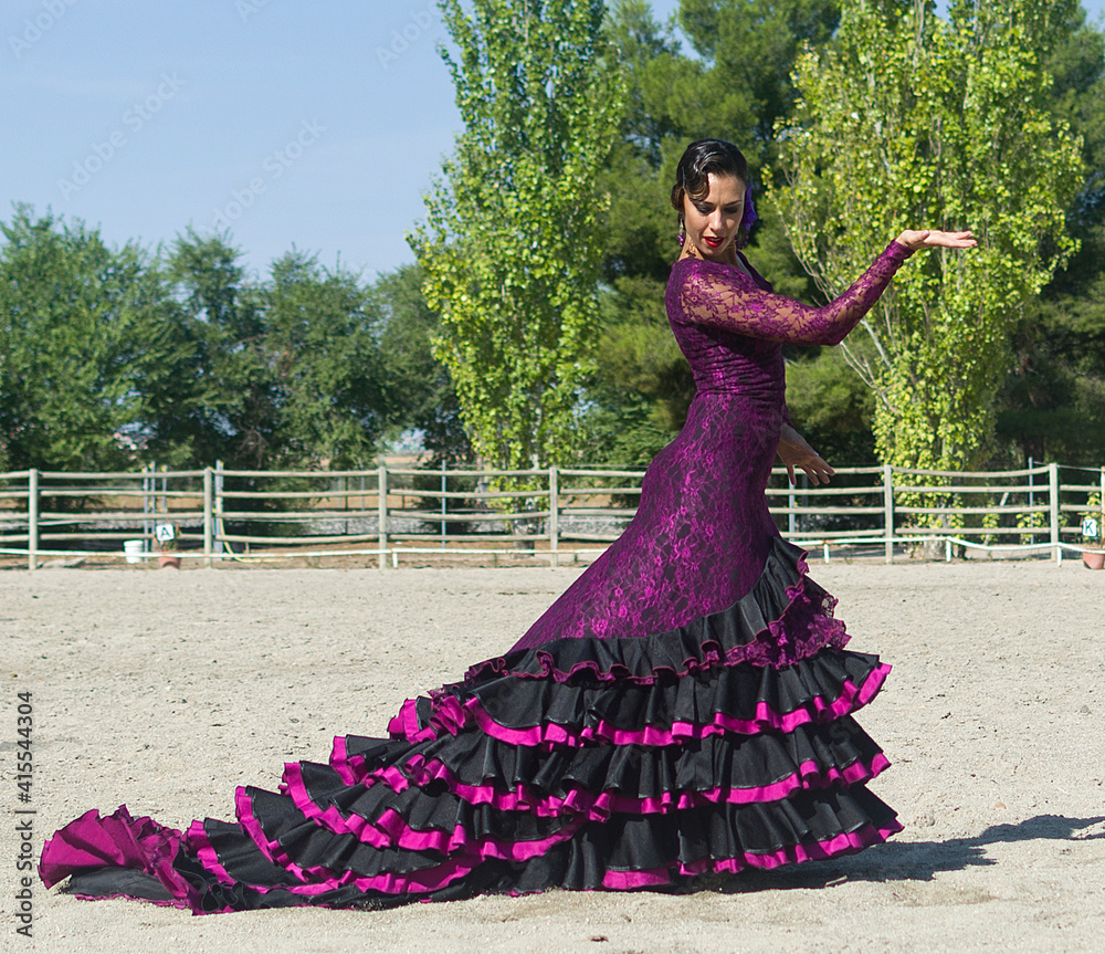 Fototapeta premium Flamenco dancer