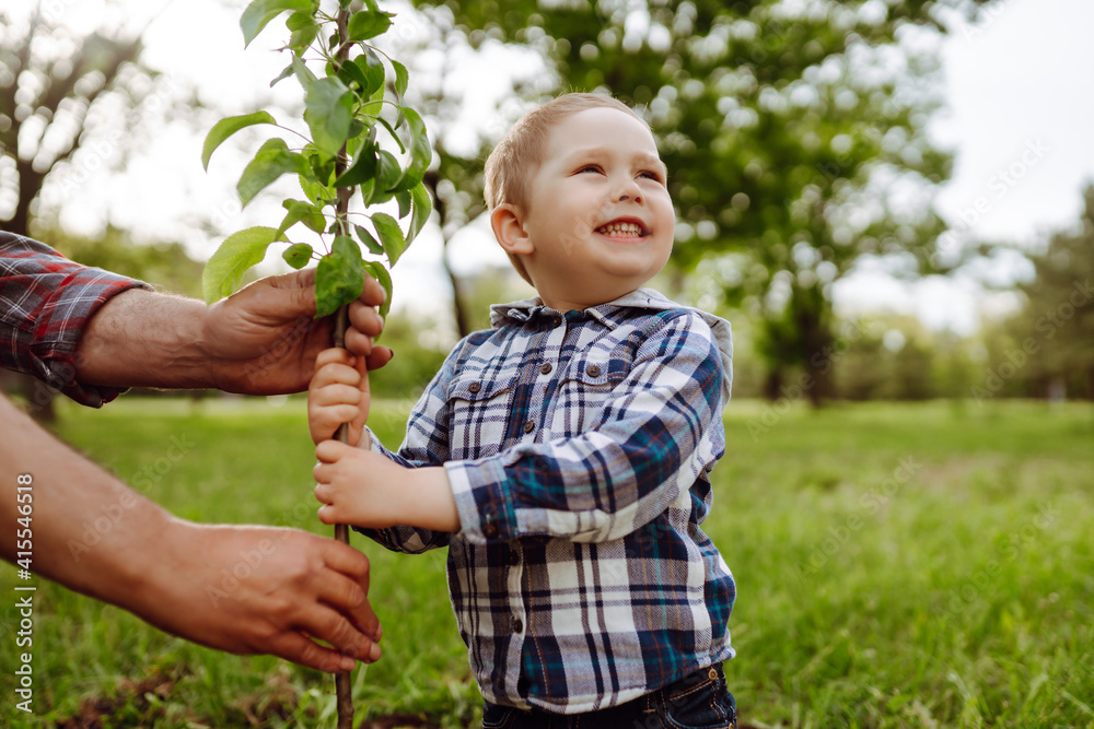 Cute child plants young tree with grandfather in the garden. Planting a family tree. Spring concept, nature and care.
Cute child plants young tree with grandfather in the garden. Planting a family tree. Spring concept, nature and care.