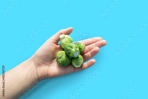 Brussels sprouts in woman hand on blue background. Isolated small cabbages.Vegetarian food.