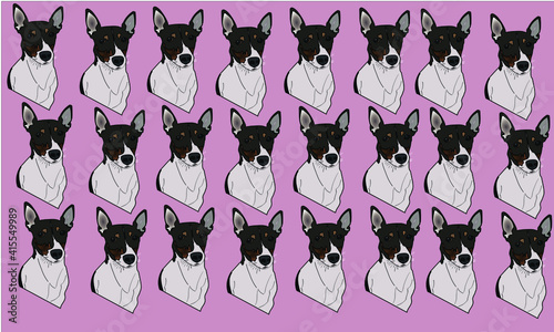 illustration of a set of rat terrier dog
