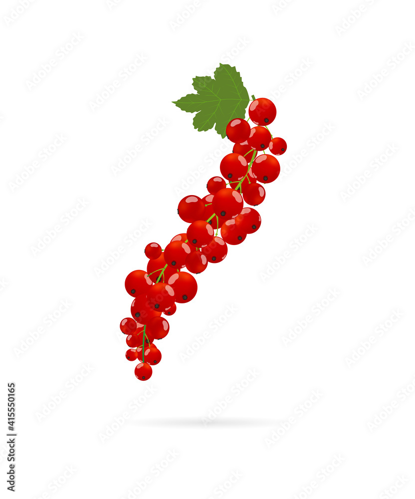 Red currant on cluster with eaf. Vector illustration on white background in cartoon flat style Red currant on cluster with eaf. Vector illustration on white background in cartoon flat style