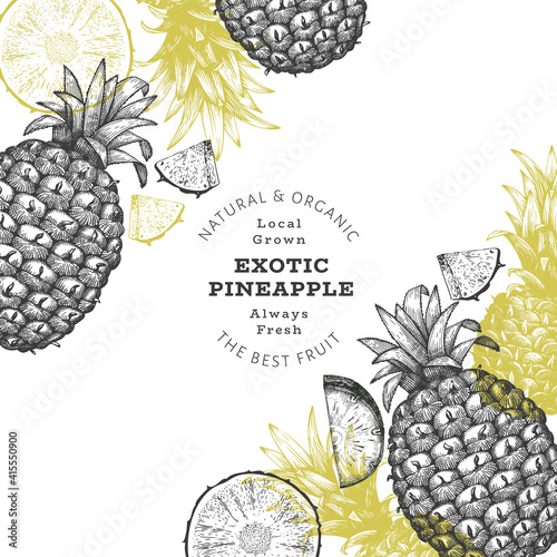 Hand drawn sketch style pineapple banner. Organic fresh fruit vector illustration. Engraved style botanical design template.