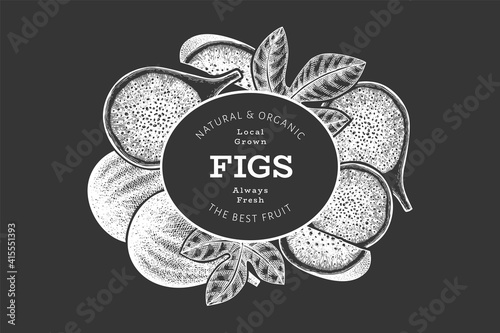 Hand drawn fig fruits design template. Organic fresh food vector illustration on chalk board. Retro fig fruit banner.