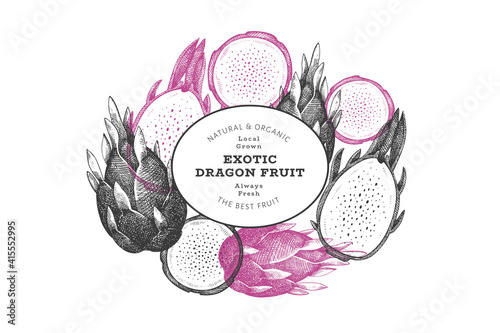 Hand drawn dragon fruit design template. Organic fresh food vector illustration. Retro pitaya fruit banner.