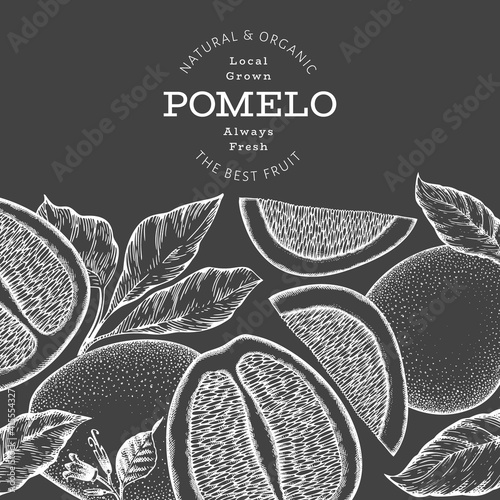 Hand drawn sketch style pomelo banner. Organic fresh fruit vector illustration on chalk board. Retro fruit design template