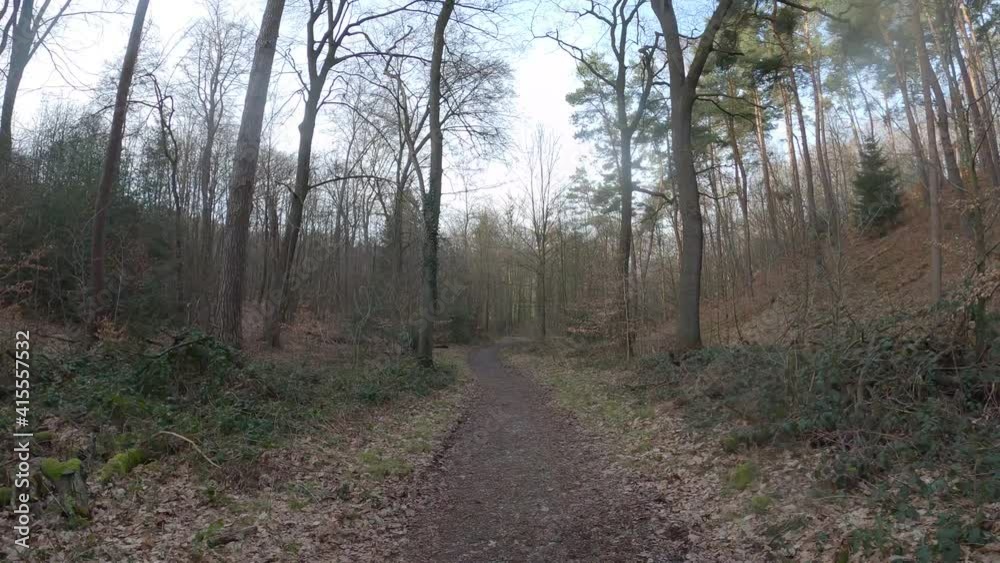 Spring in the forest 2021 video - Flat video profile - Raw GoPro 4k 30sec Spring in the forest 2021 video - Flat video profile - Raw GoPro 4k 30sec