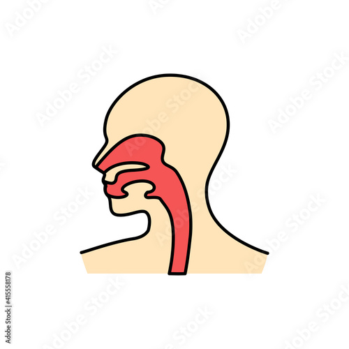 Human organ esophagus color line icon. Pictogram for web page, mobile app