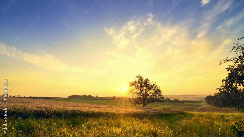 Time Lapse of the rising sun over a tree in an open rural landscape, with clouds in the blue sky beautifully playing with the rays of light
