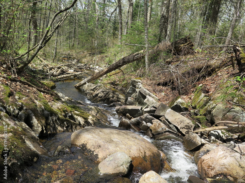 a creek in the Parc Regional de la Montagne du Diable, Quebec, Canada, May a creek in the Parc Regional de la Montagne du Diable, Quebec, Canada, May