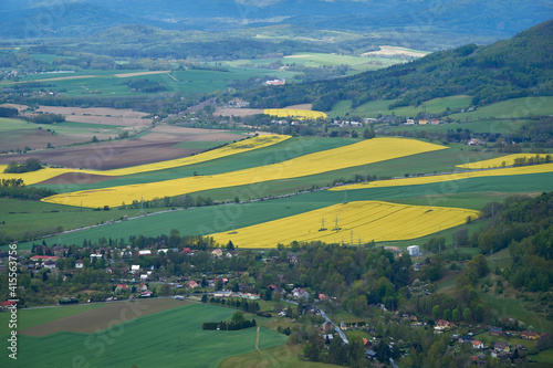 Fototapeta Naklejka Na Ścianę i Meble -  Aerial view at yellow rape fields with small village as foreground and forest