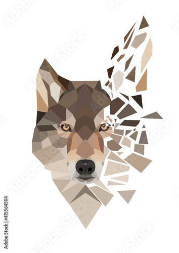 Wolfs Splitter