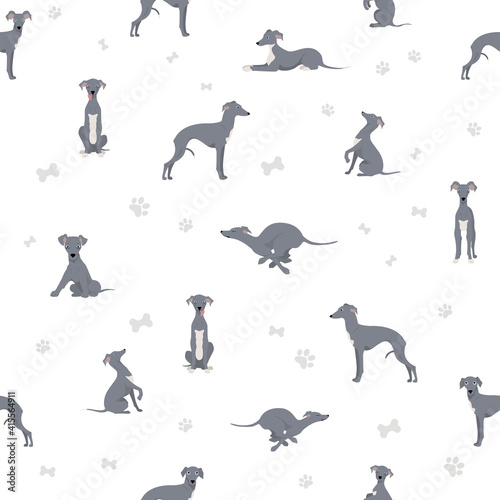 Italian greyhound seamless pattern. Different poses, coat colors set.