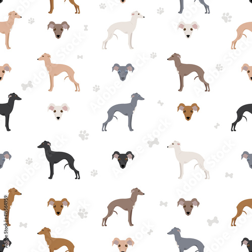 Italian greyhound seamless pattern. Different poses  coat colors set.