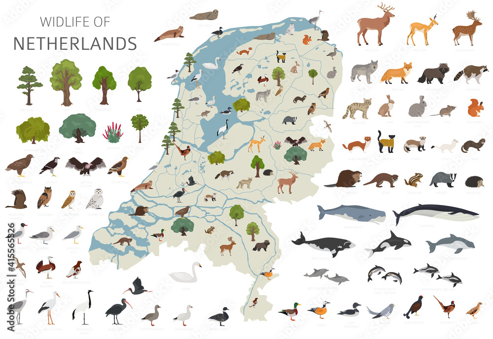Fototapeta premium Flat design of Netherlands wildlife. Animals, birds and plants constructor elements isolated on white set. Build your own geography infographics collection