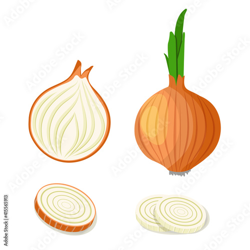 Yellow onions set. Whole unpeeled, half, onion rings and slices.