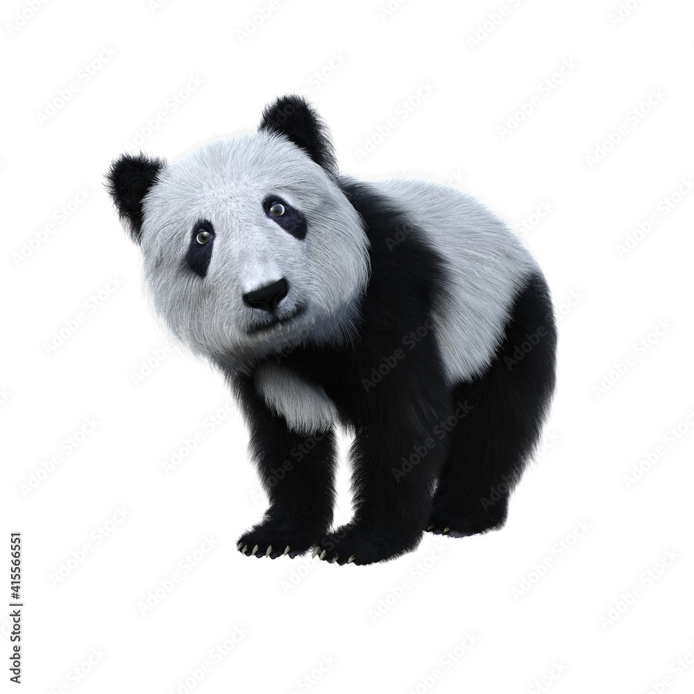 Obraz premium Cute Panda cub standing. 3d illustration isolated on white background.