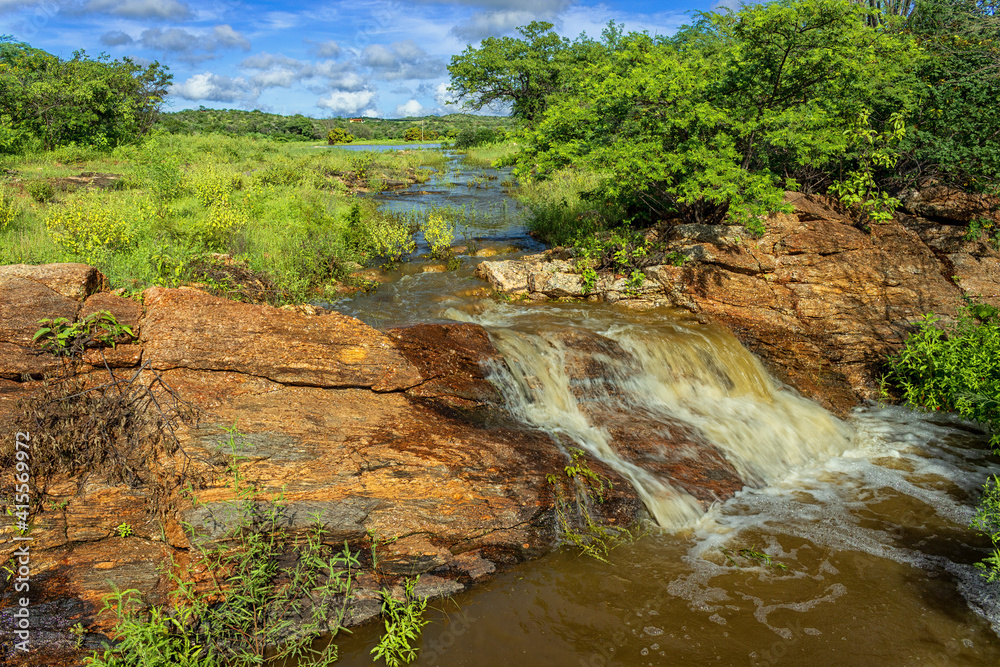 waterfall in the forest
