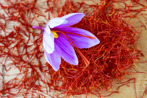 Single crocus flower on a pile of dry saffron stamens. Saffron spice. photo