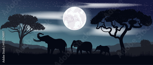 Vector illustration. Night starry sky. Family of elephants. Scenery