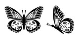 Drawing butterfly. Stencil butterfly, moth wings and flying insects. Butterflies tattoo sketch, fly insect black hand drawn engraving. Isolated vector illustration icon