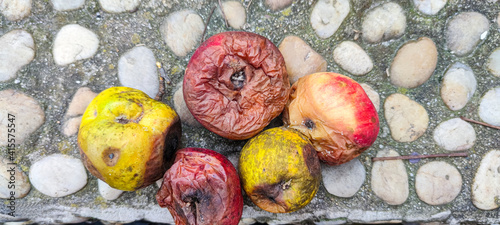 Принти на полотні apples with mold