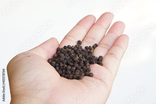Hand of the holding a black pepper. Black pepper plants growing on plantation in Asia. peppers on a hand isolated on white background
