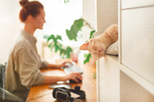 Work from home, the ginger cat is sleeping. Lockdown. Cat on the background of the workplace. The girl works at the computer. Desktop and headphones.