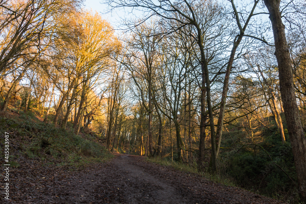 Dimmingsdale Valley & Furnace Forest Walks