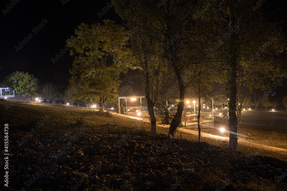 Obraz premium Trees and street lamps on a quiet foggy night. Foggy misty evening lamps in empty road.